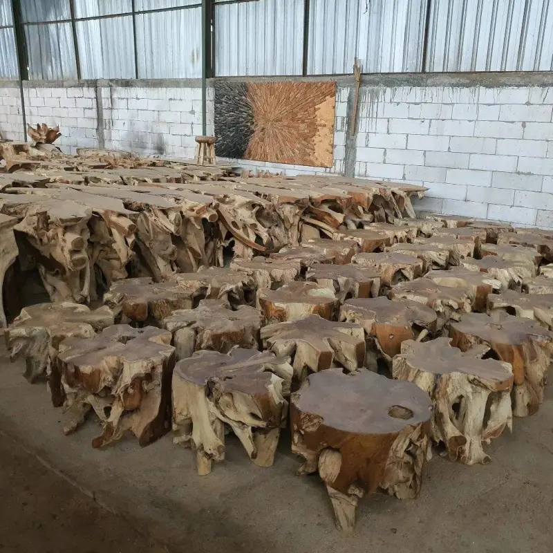 teak root 2
